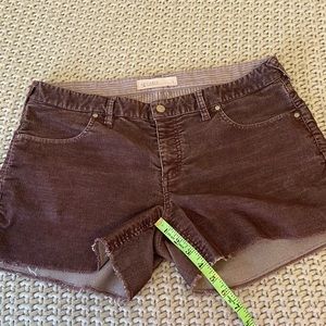 Carve Designs Corduroy Oahu Short